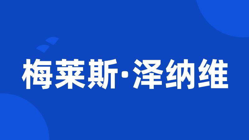 梅莱斯·泽纳维