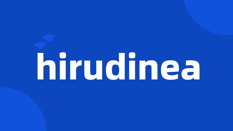 hirudinea