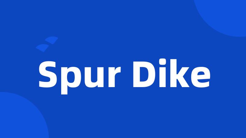 Spur Dike