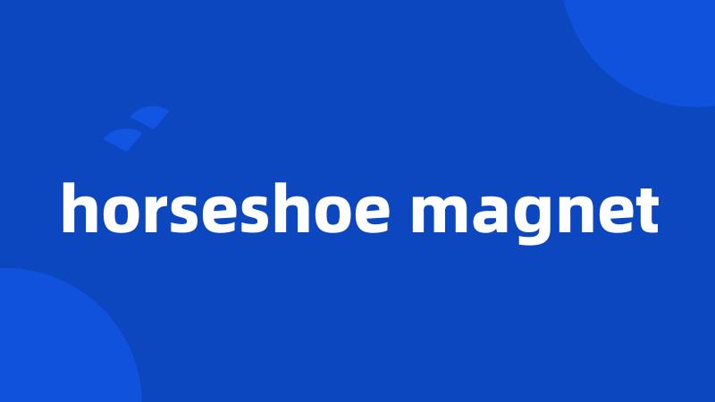 horseshoe magnet