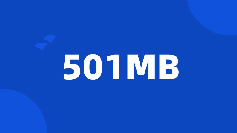 501MB