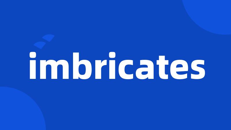 imbricates