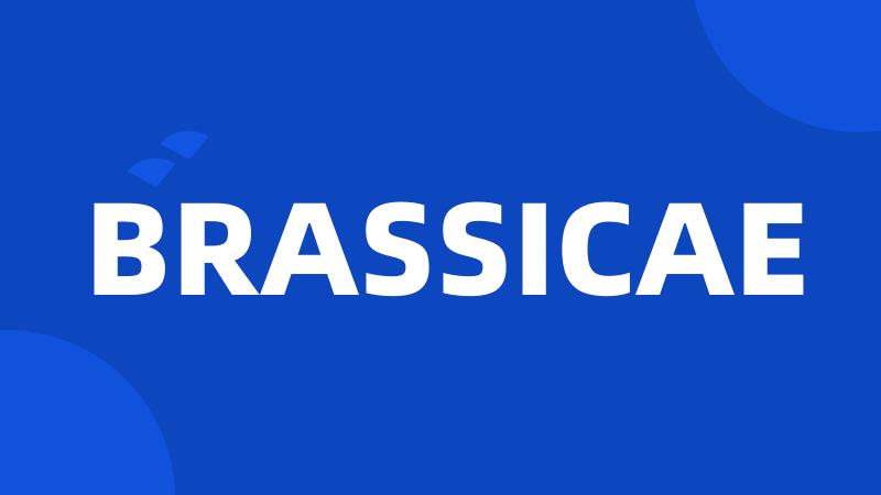 BRASSICAE