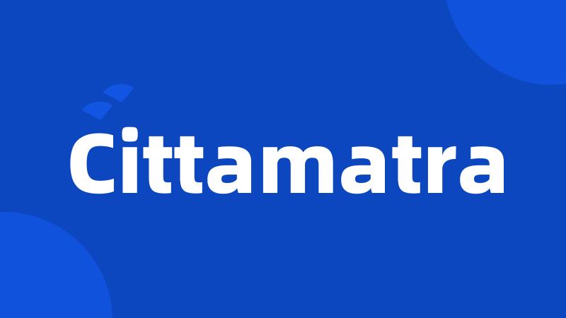 Cittamatra