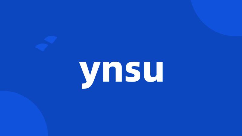 ynsu