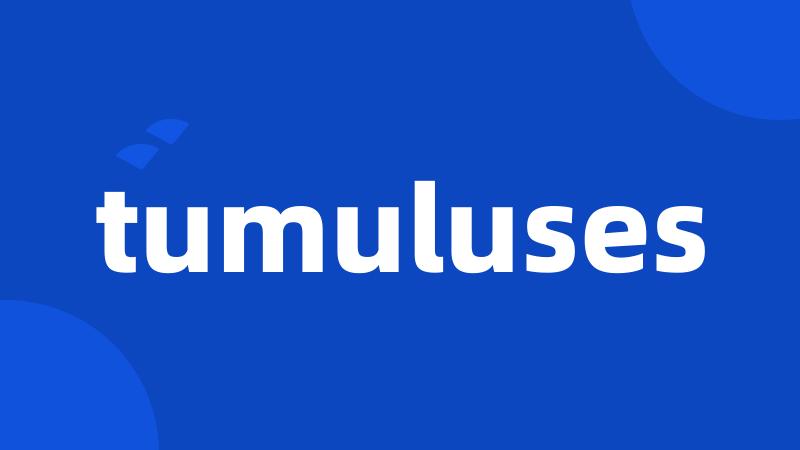 tumuluses