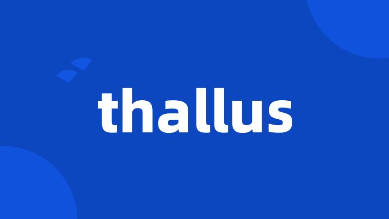 thallus