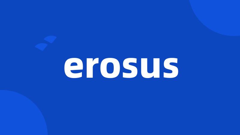 erosus