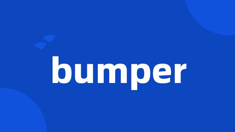 bumper