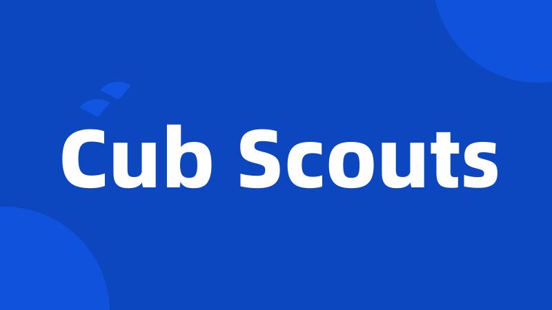 Cub Scouts