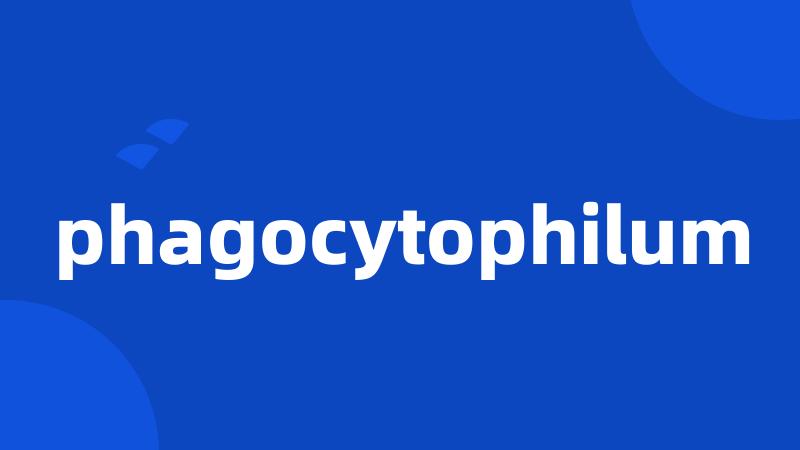 phagocytophilum