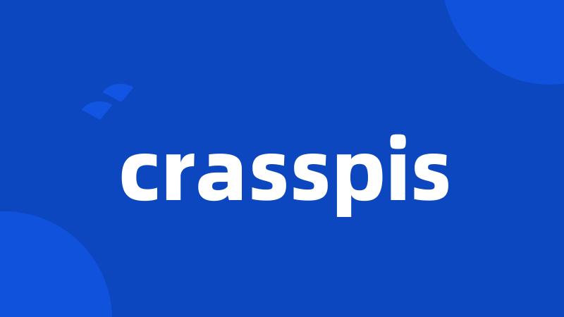 crasspis