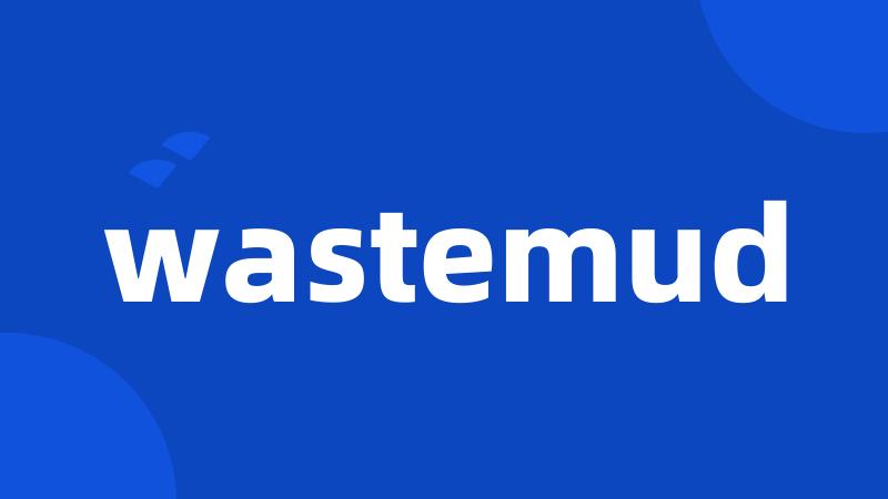 wastemud