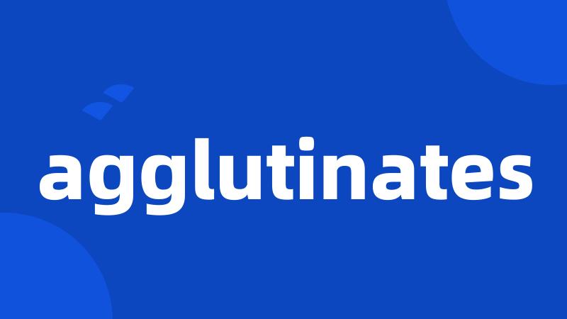 agglutinates