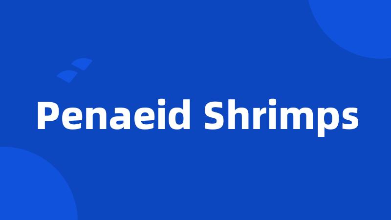 Penaeid Shrimps