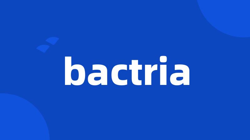 bactria