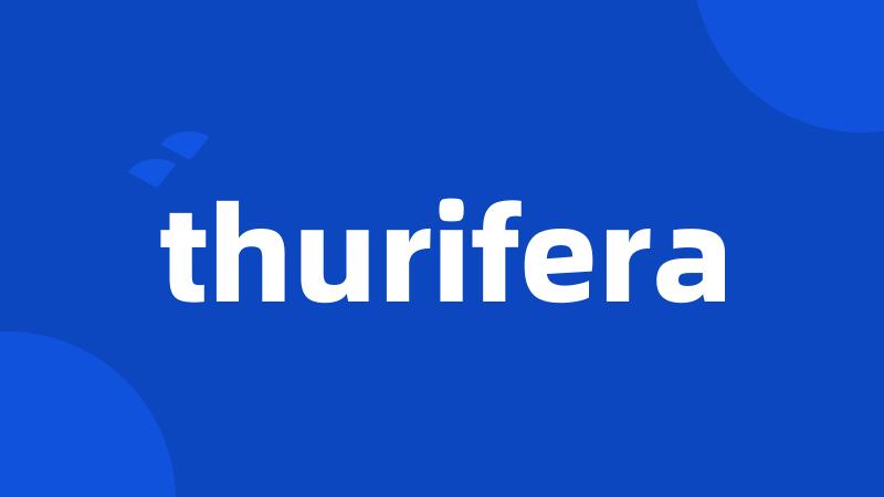 thurifera