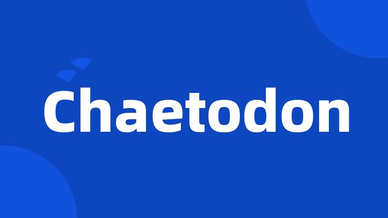 Chaetodon