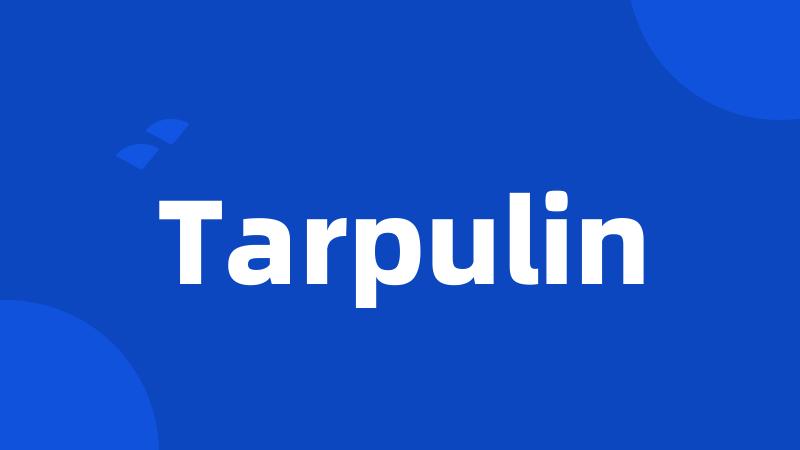 Tarpulin