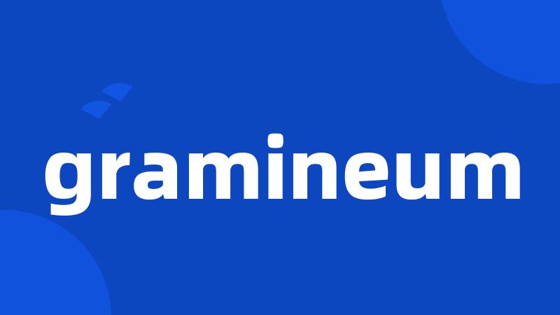 gramineum