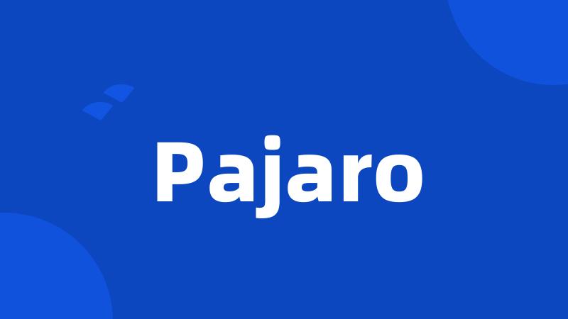 Pajaro