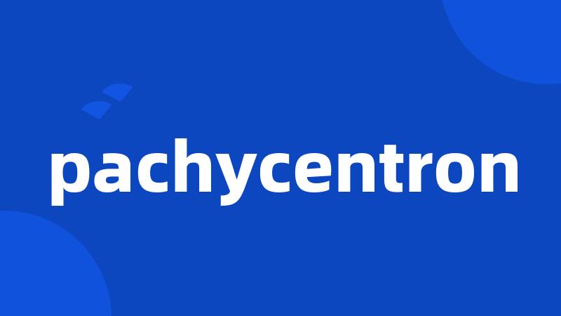 pachycentron