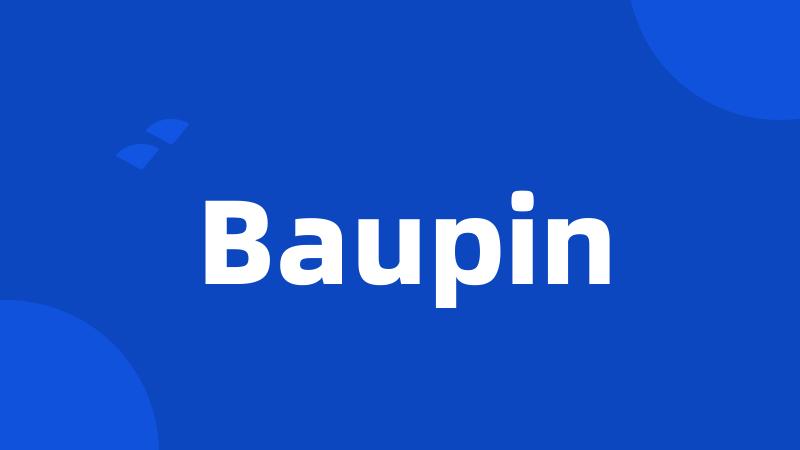 Baupin