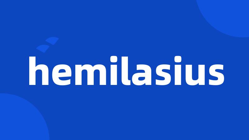 hemilasius