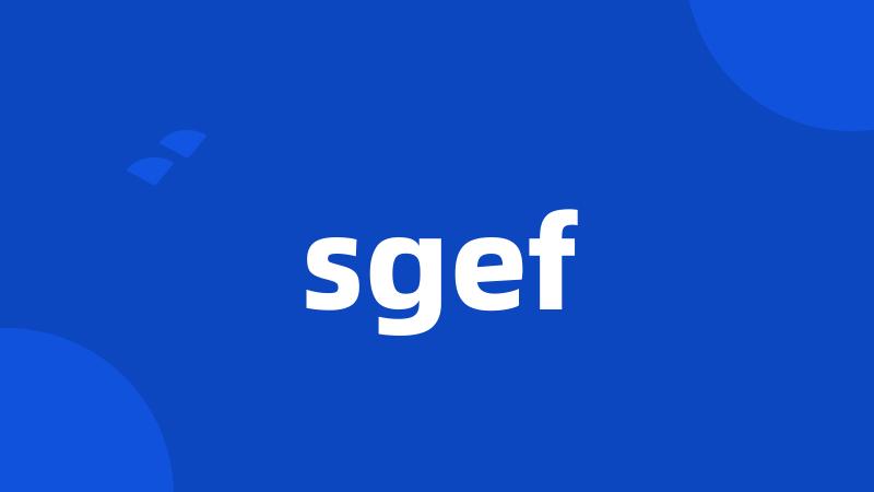 sgef