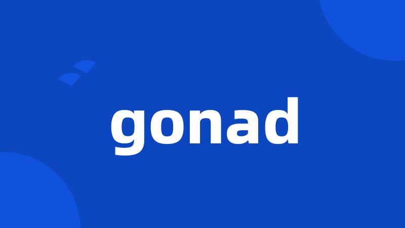 gonad