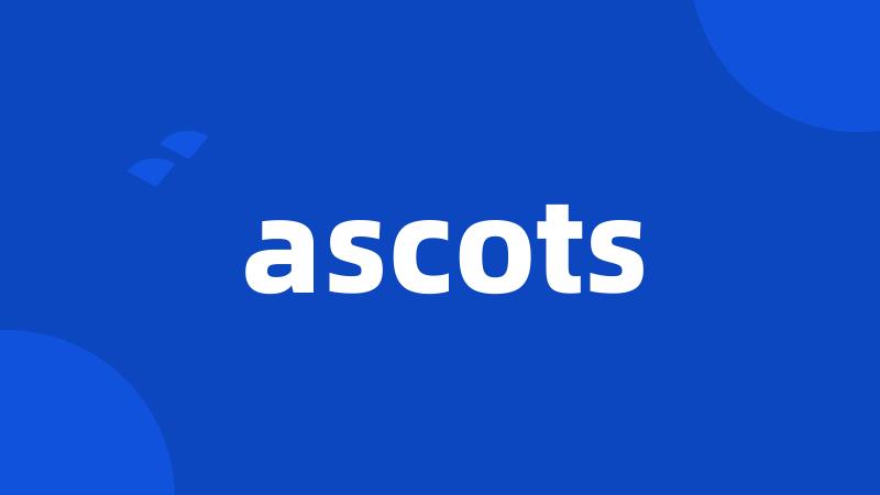 ascots