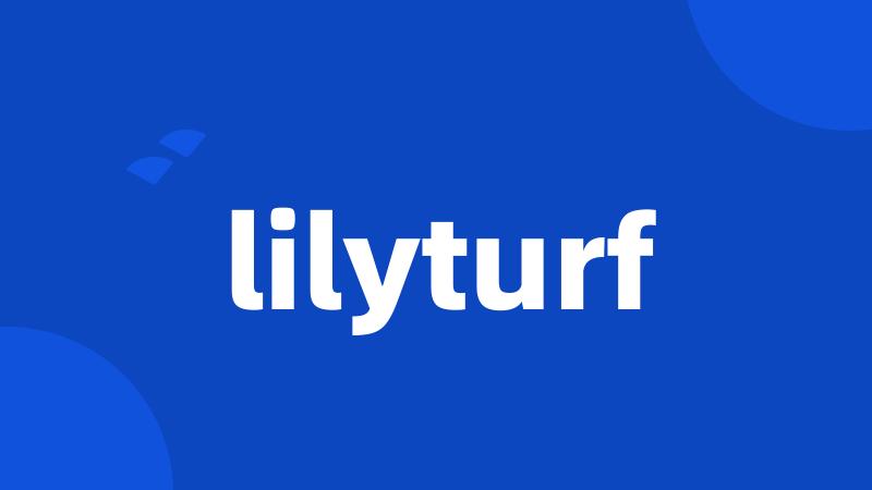 lilyturf