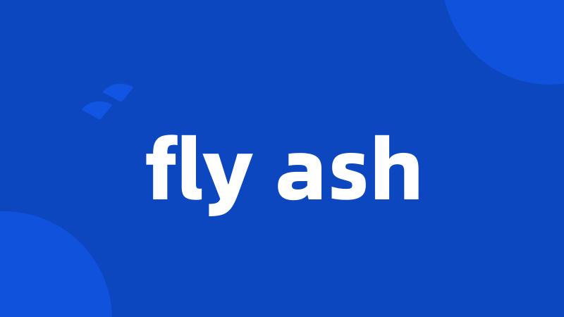 fly ash