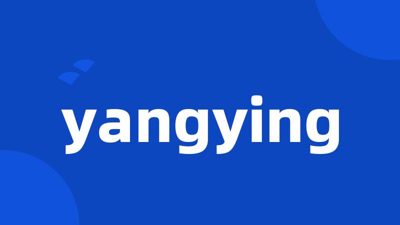 yangying