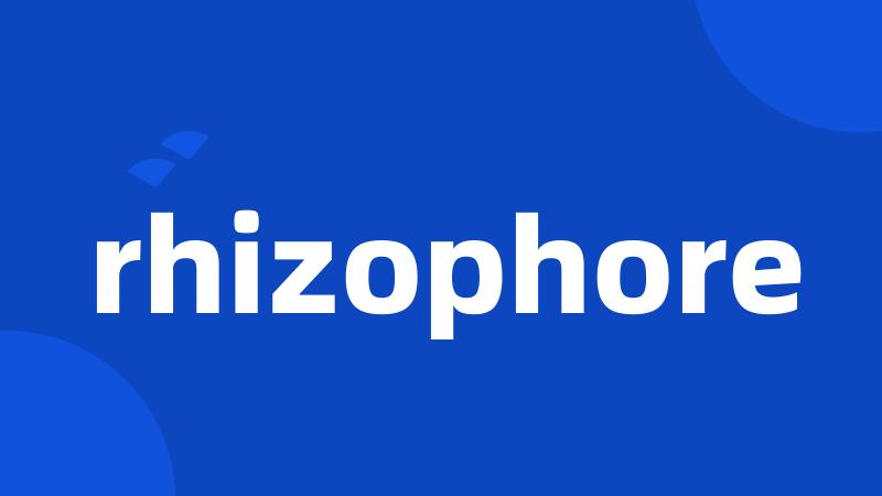 rhizophore