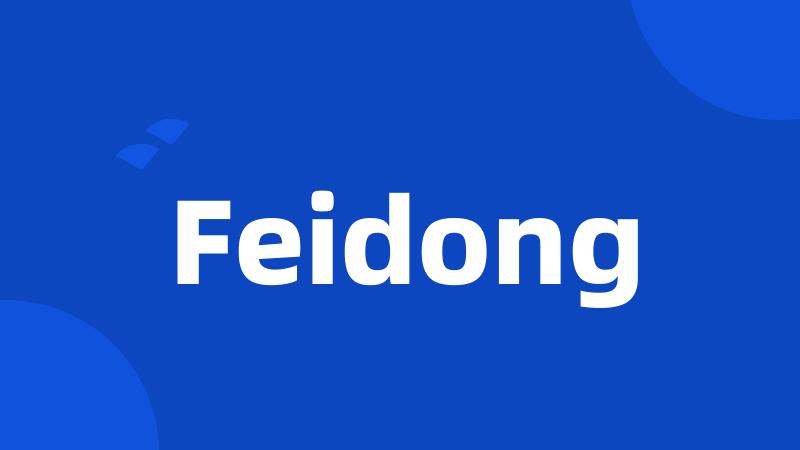 Feidong