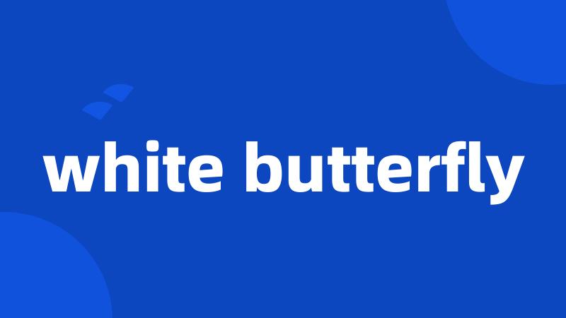 white butterfly