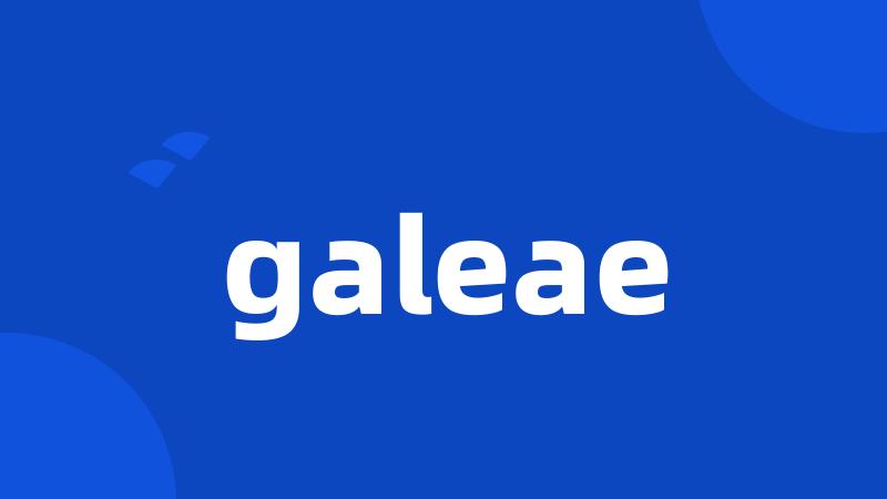 galeae