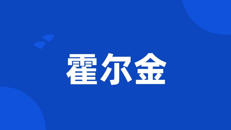 霍尔金