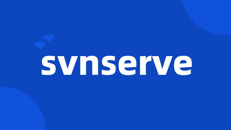 svnserve