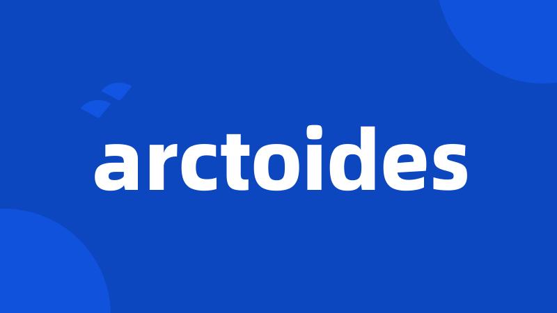 arctoides