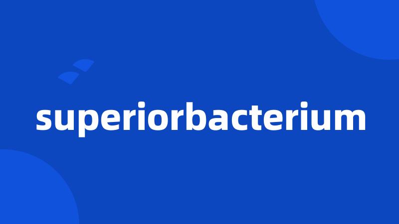 superiorbacterium