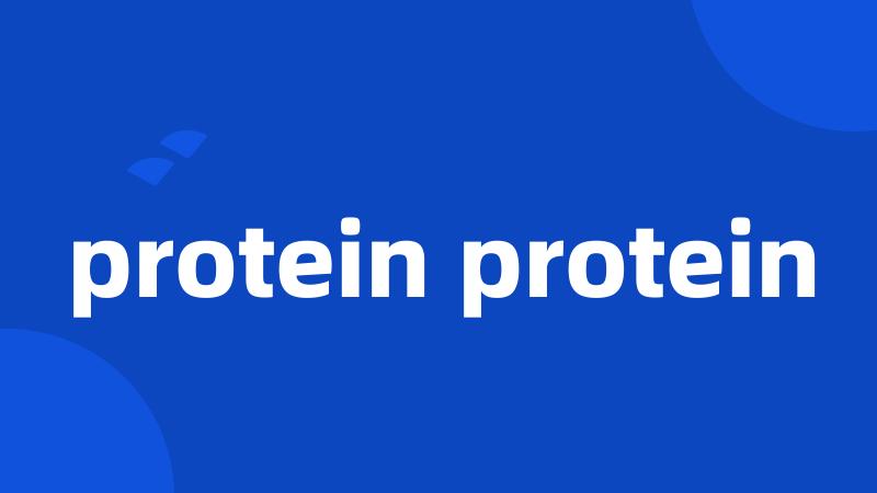 protein protein