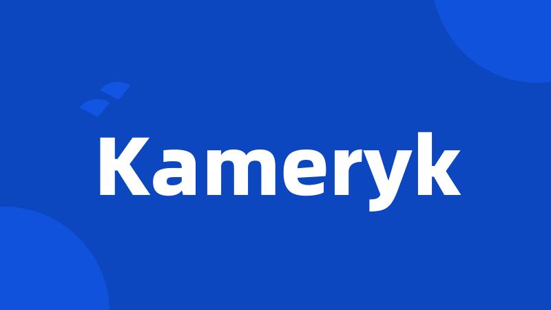 Kameryk