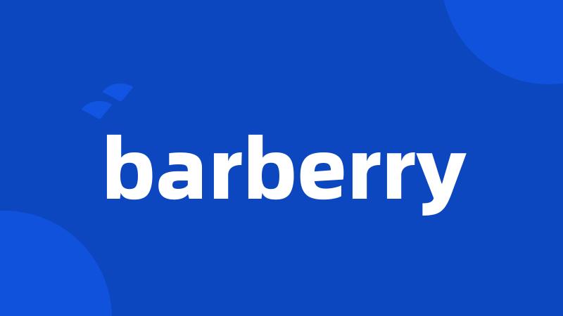 barberry