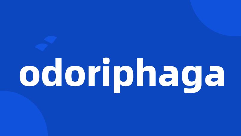 odoriphaga