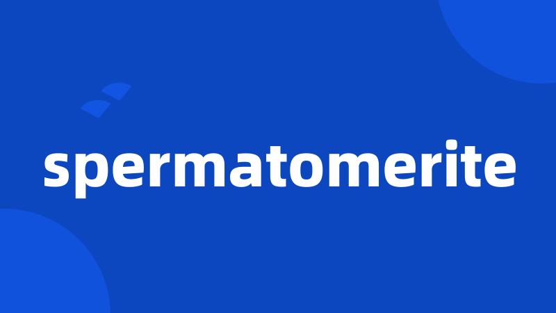 spermatomerite