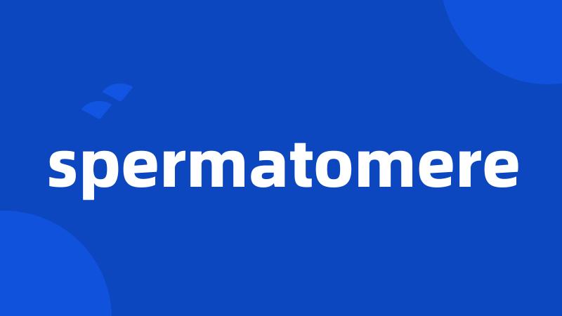 spermatomere