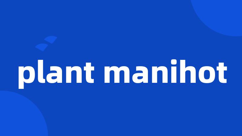 plant manihot