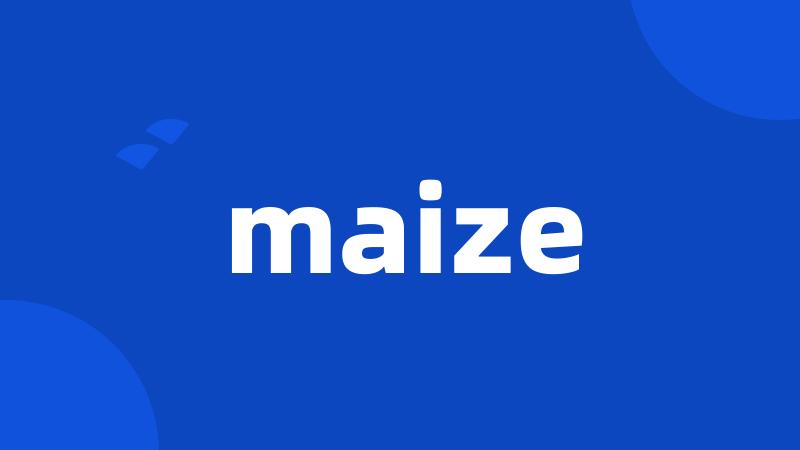 maize